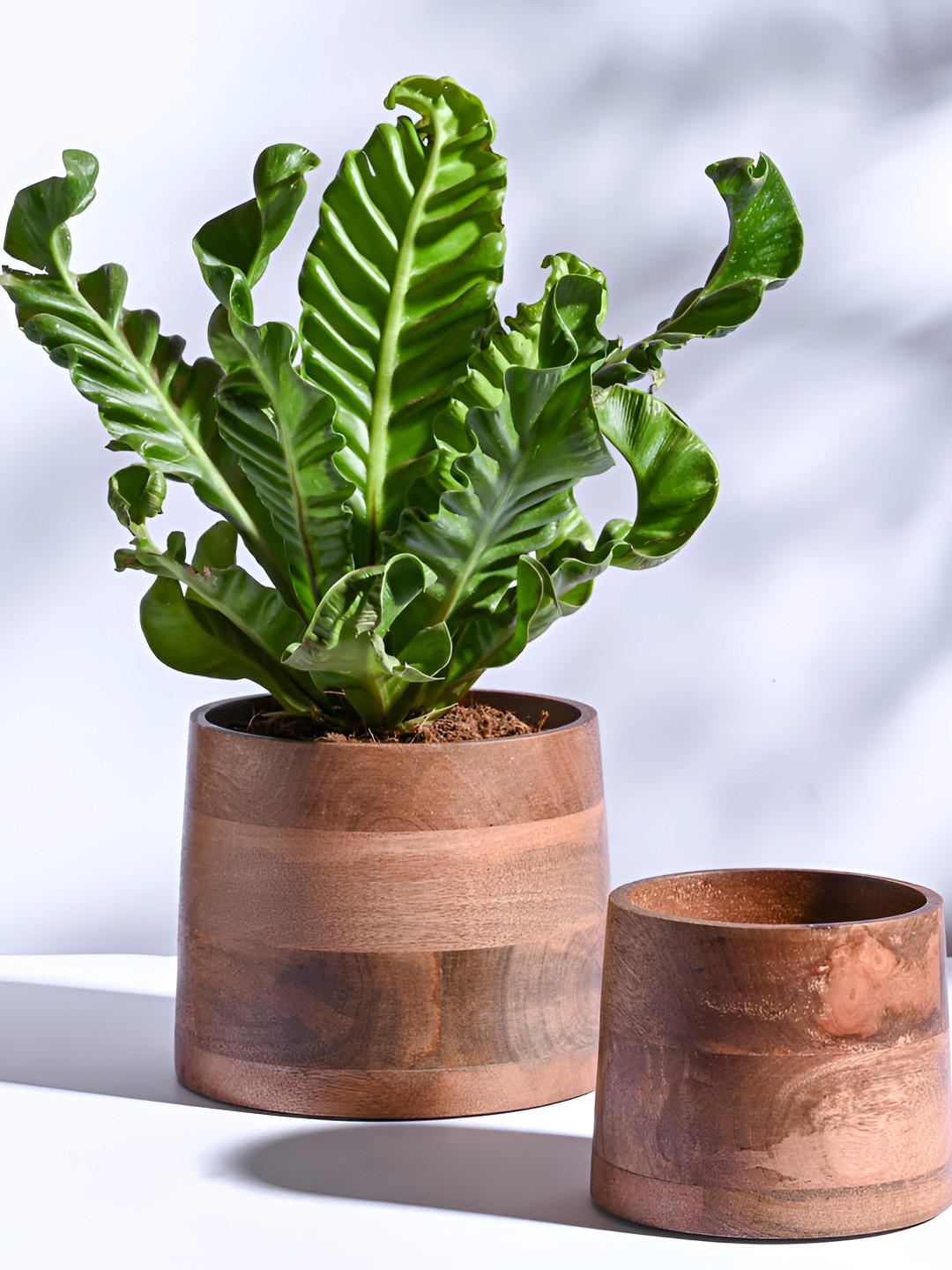 UGAOO Gradient Brown 2 Pieces Gradient Shaped Wooden Planters