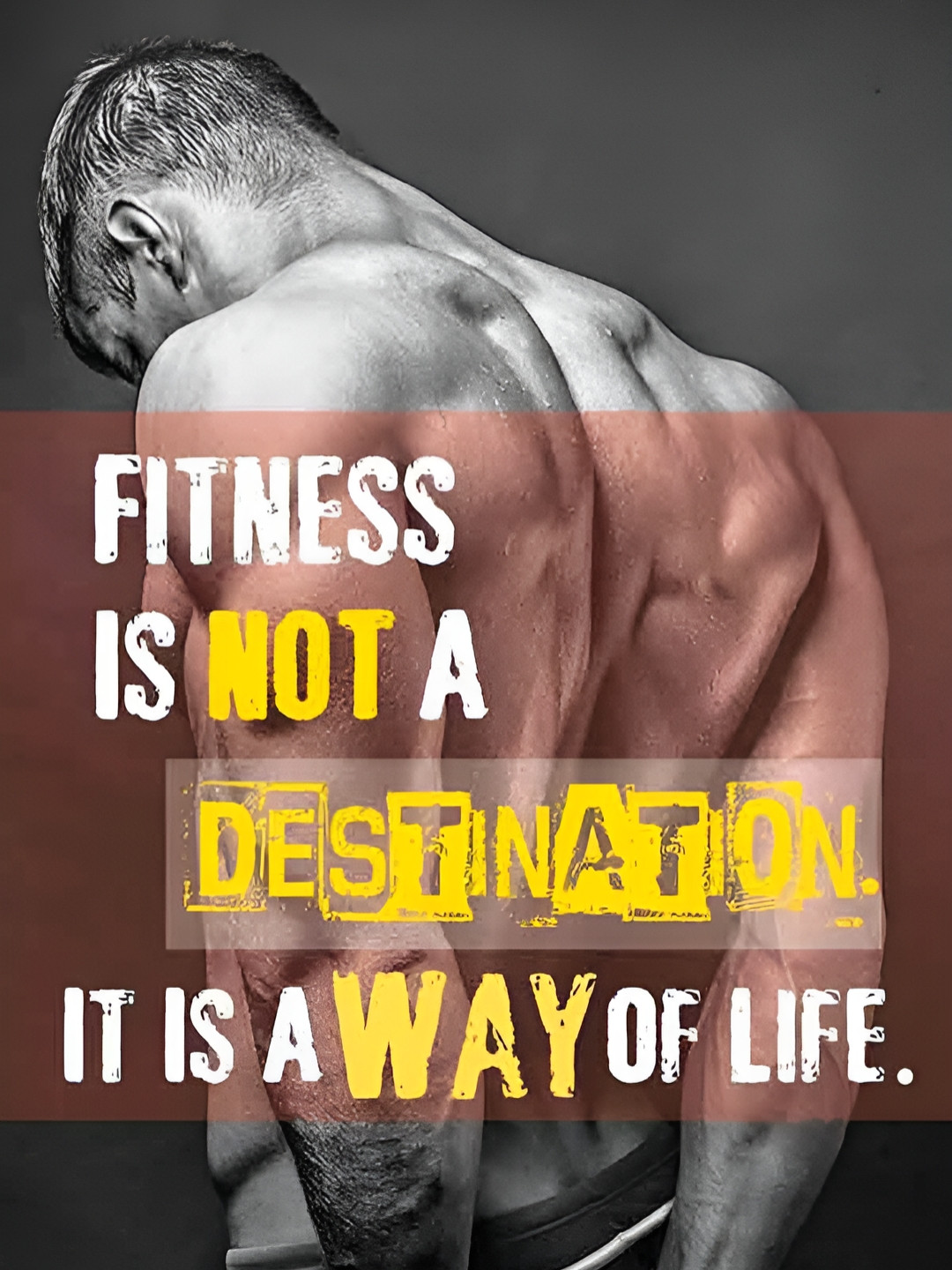 British Terminal Grey & White Quote Printed Waterproof Wall Sticker