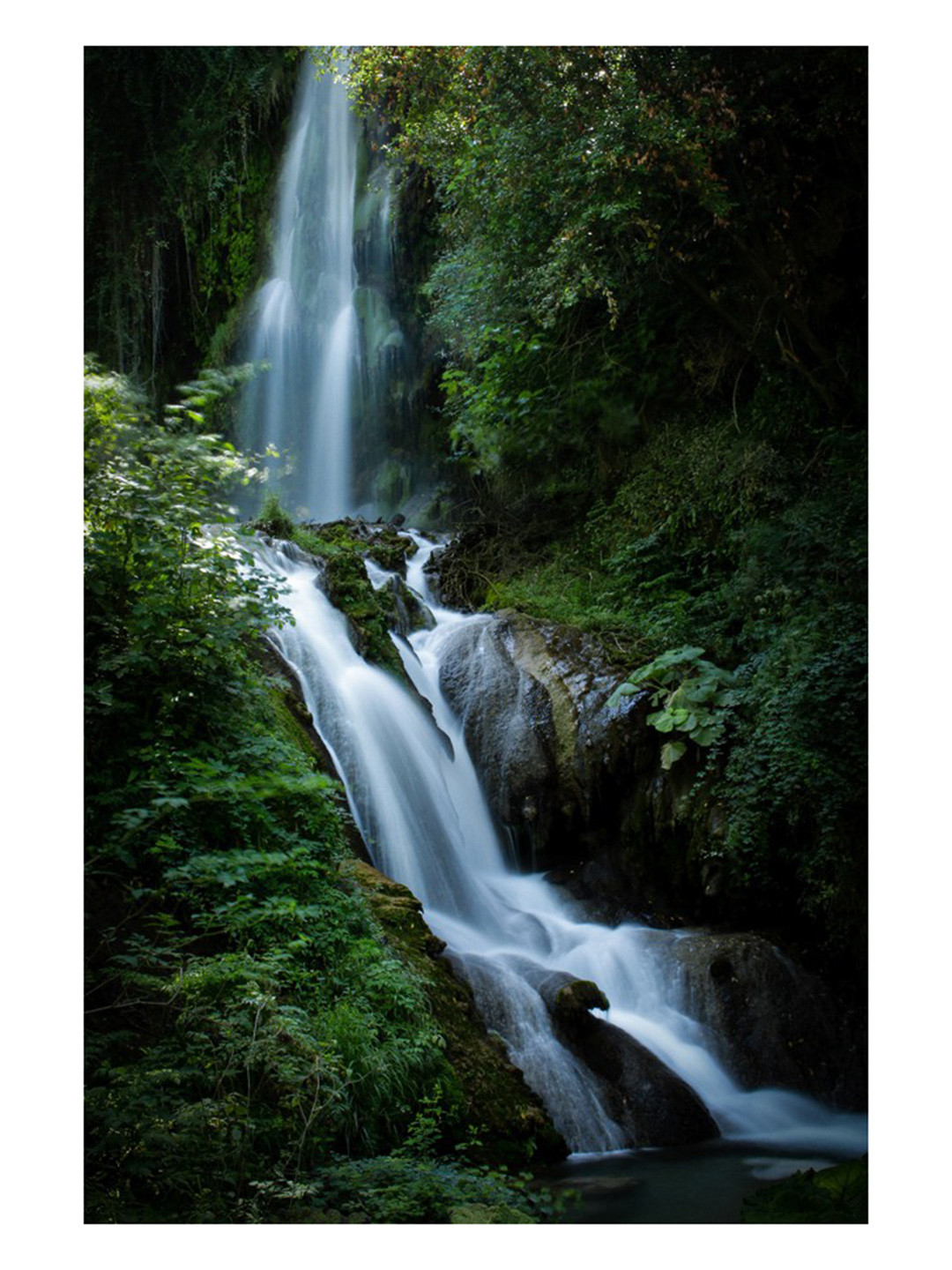 British Terminal Green & White Botanical Printed Wall Poster