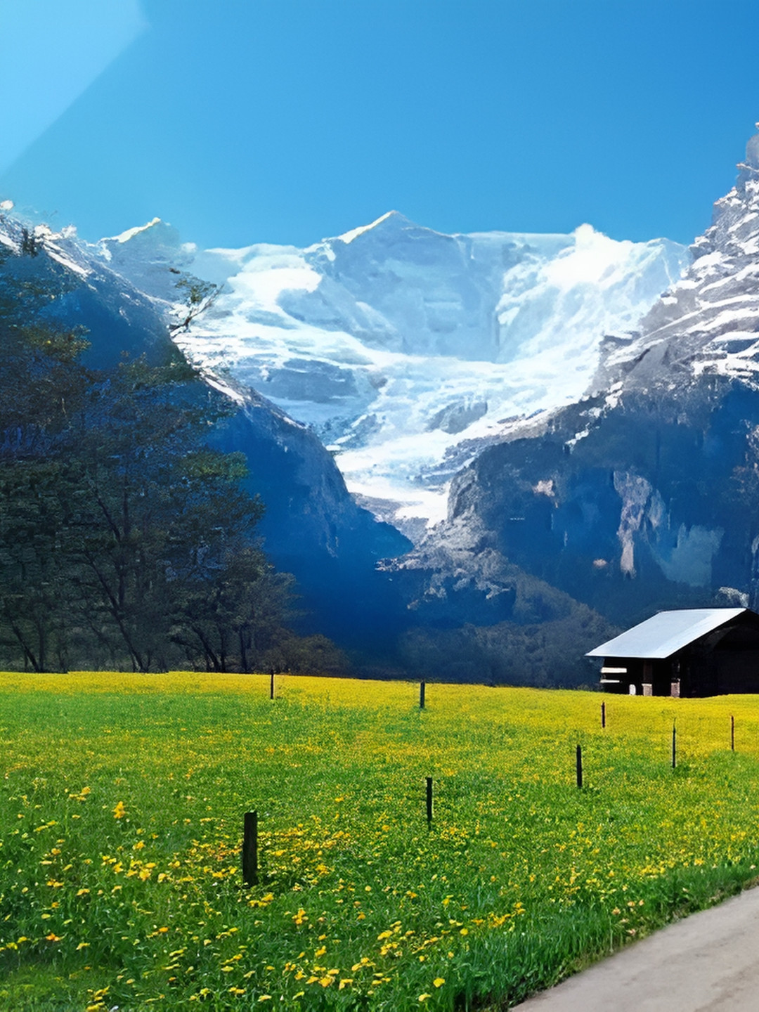 British Terminal Green & Yellow Nature Wall Poster