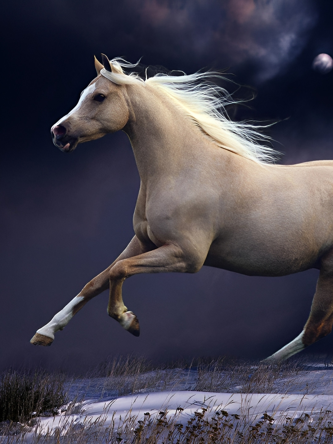 British Terminal Running Horse Paper Wall Rectangle Paintings Wall Art - 24 x 18In