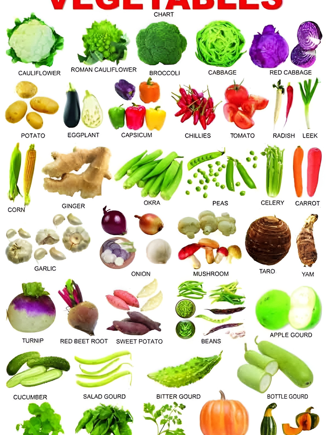 British Terminal Green & Purple Botanical Wall Poster