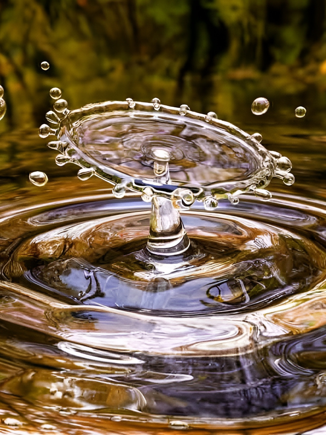 British Terminal Green & Transparent Printed High Quality Fully Waterproof Wall Poster