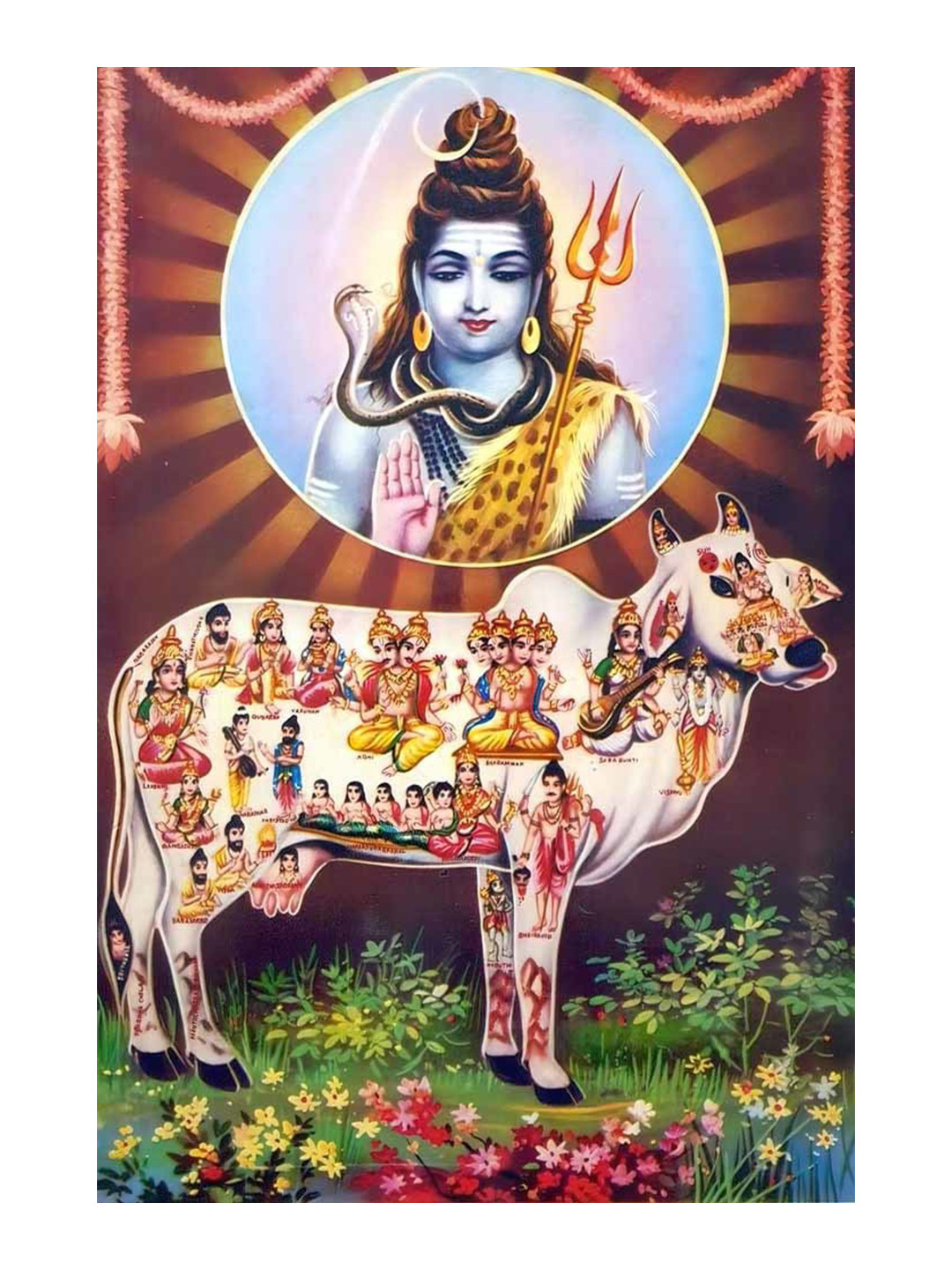 British Terminal Brown & White Lord Shiva & Gau Mata Printed Wall Poster