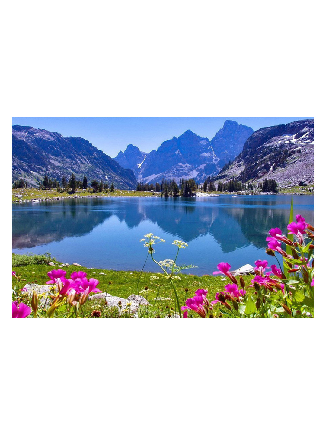 British Terminal Blue & Green Wall Poster