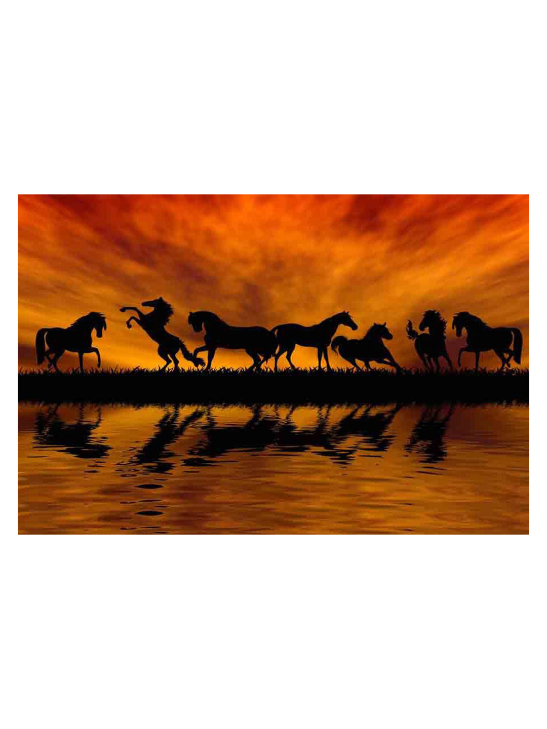 British Terminal Red & Black Birds & Animals Wall Poster