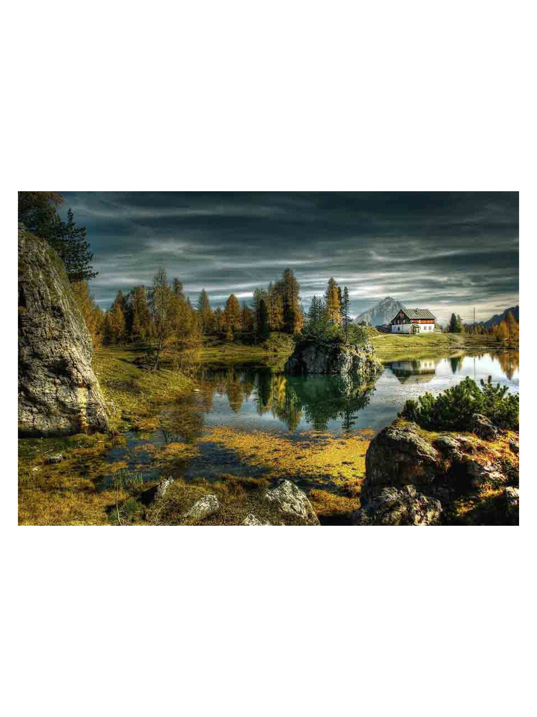 British Terminal Paper Botanical & Lake Printed Wall Poster