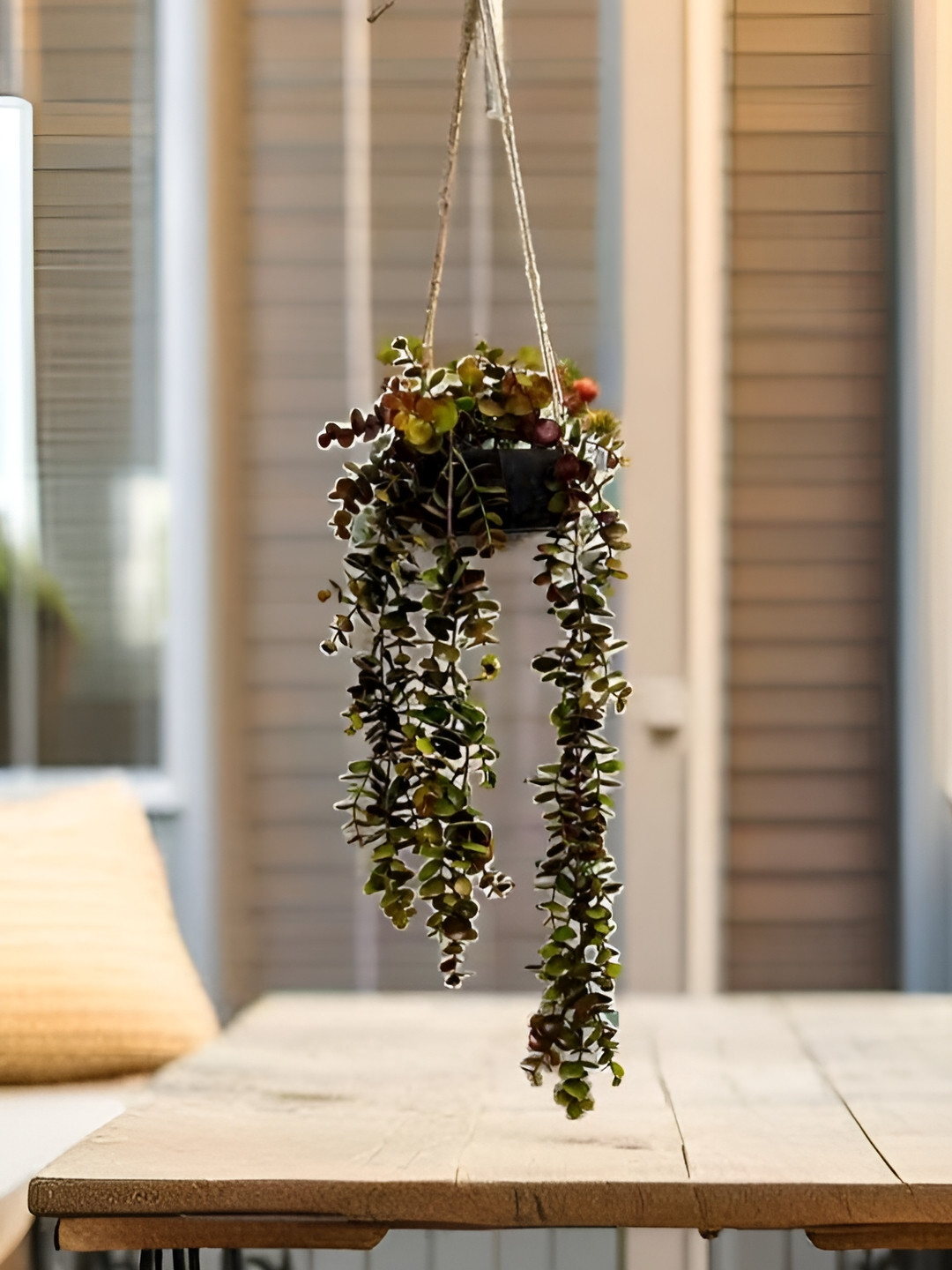 Akaar Brown Hanging Eucalyptus Artificial Plant With Pot