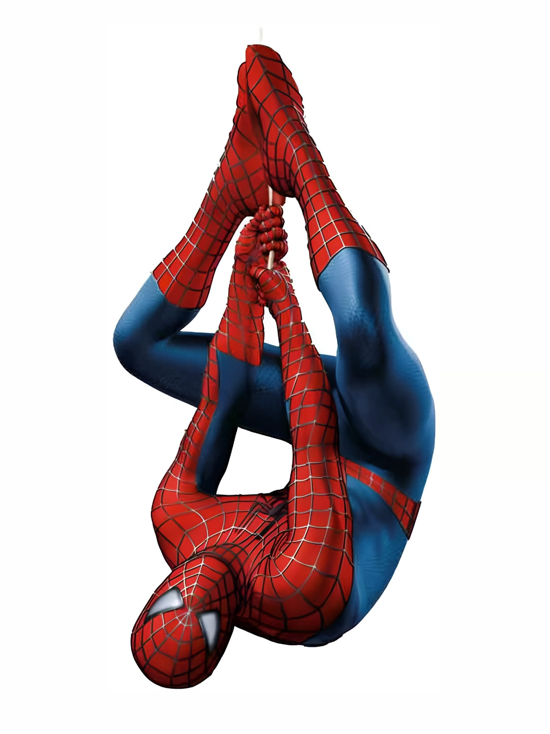 Wallpics Red & Blue Spider Man Printed Waterproof Wall Sticker