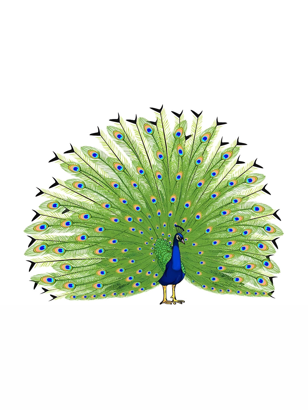 Wallpics Blue & Green Peacock Printed Waterproof Wall Sticker