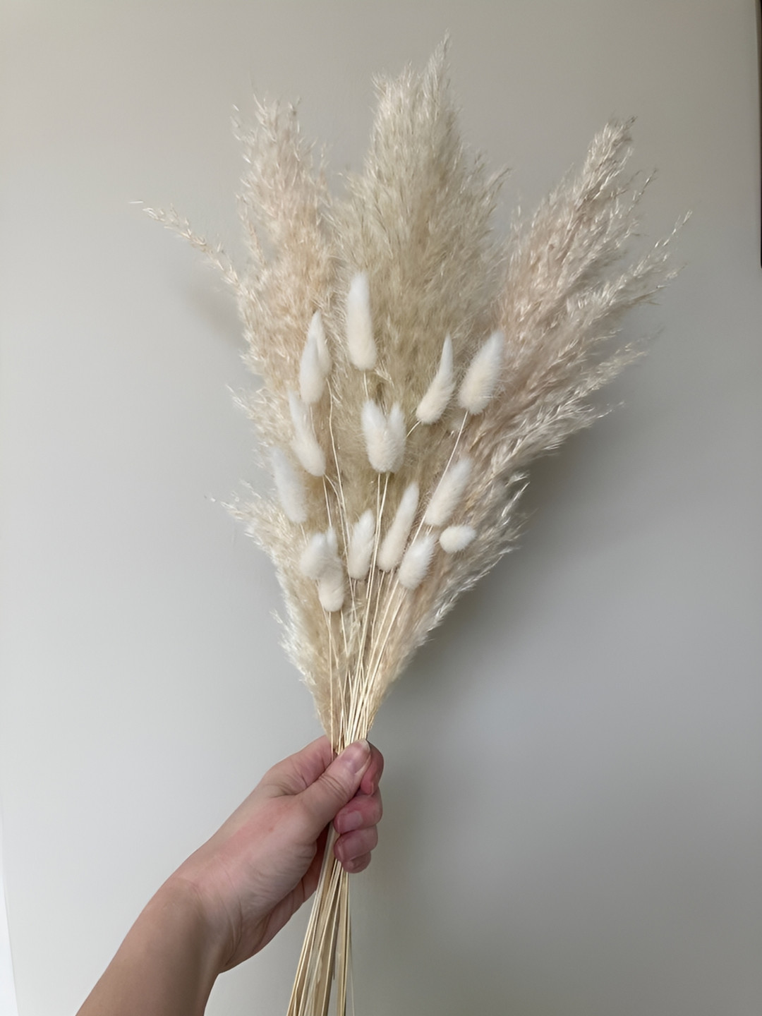 ArteCasa Naturally Dried White Bunch