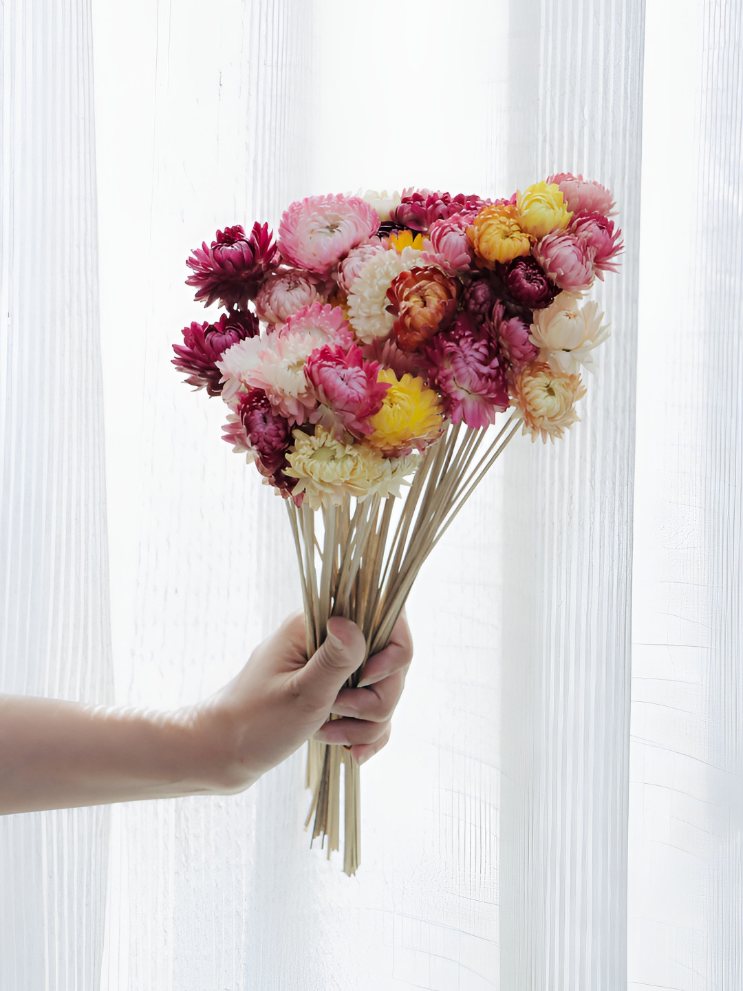 ArteCasa Set of 25 Dried Flower Straw Flower Stems