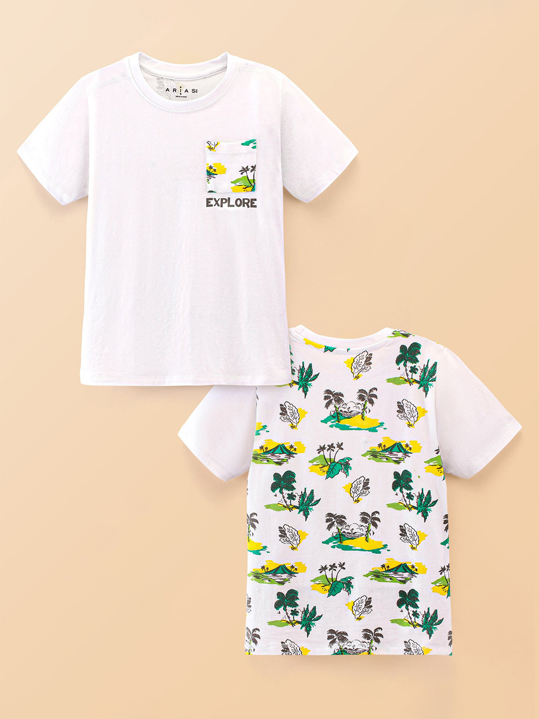 ARIAS By LARA DUTTA Boys Cotton Conversational Printed Cotton T-shirt