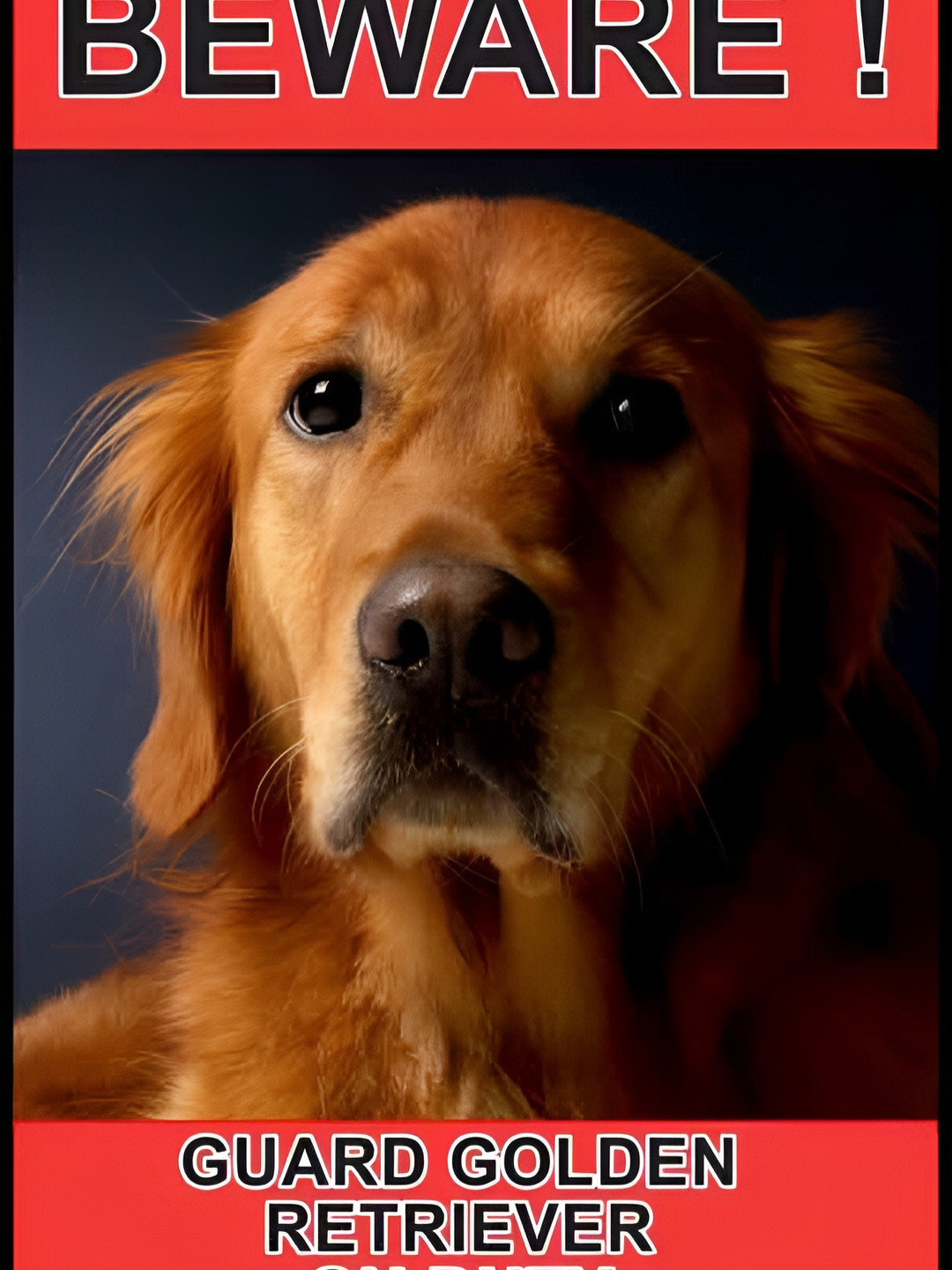 Wallpics Red & Black Dog Wall Poster