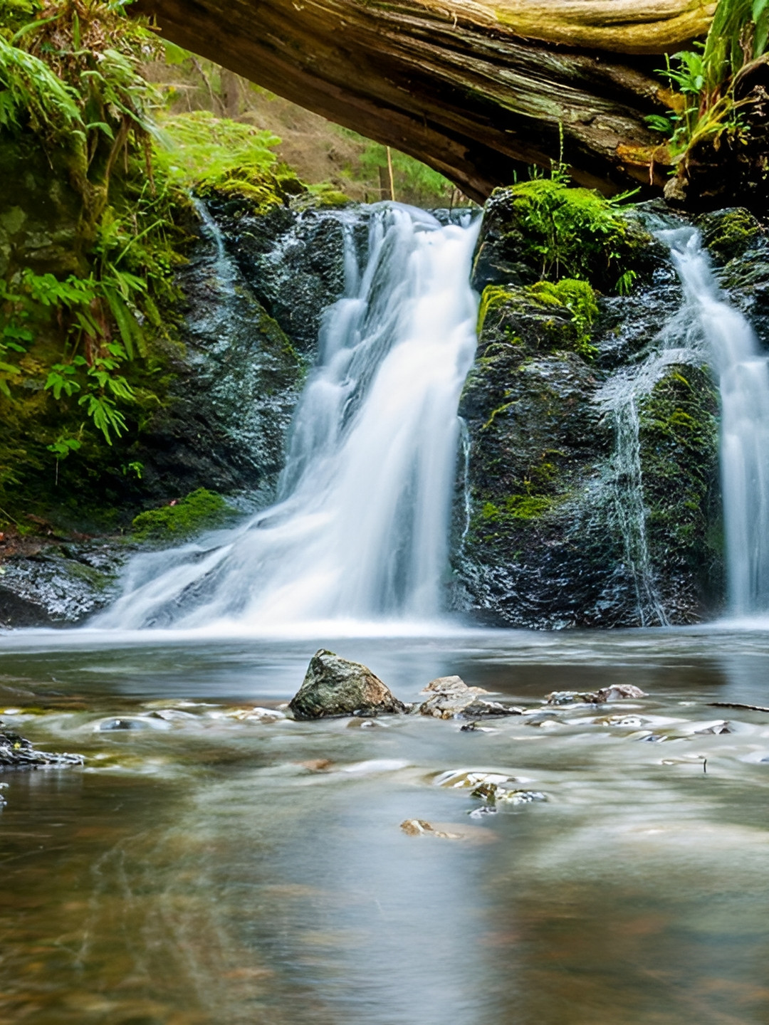 Wallpics Green & White Floral and Botanical Paper Painting Wall Sticker
