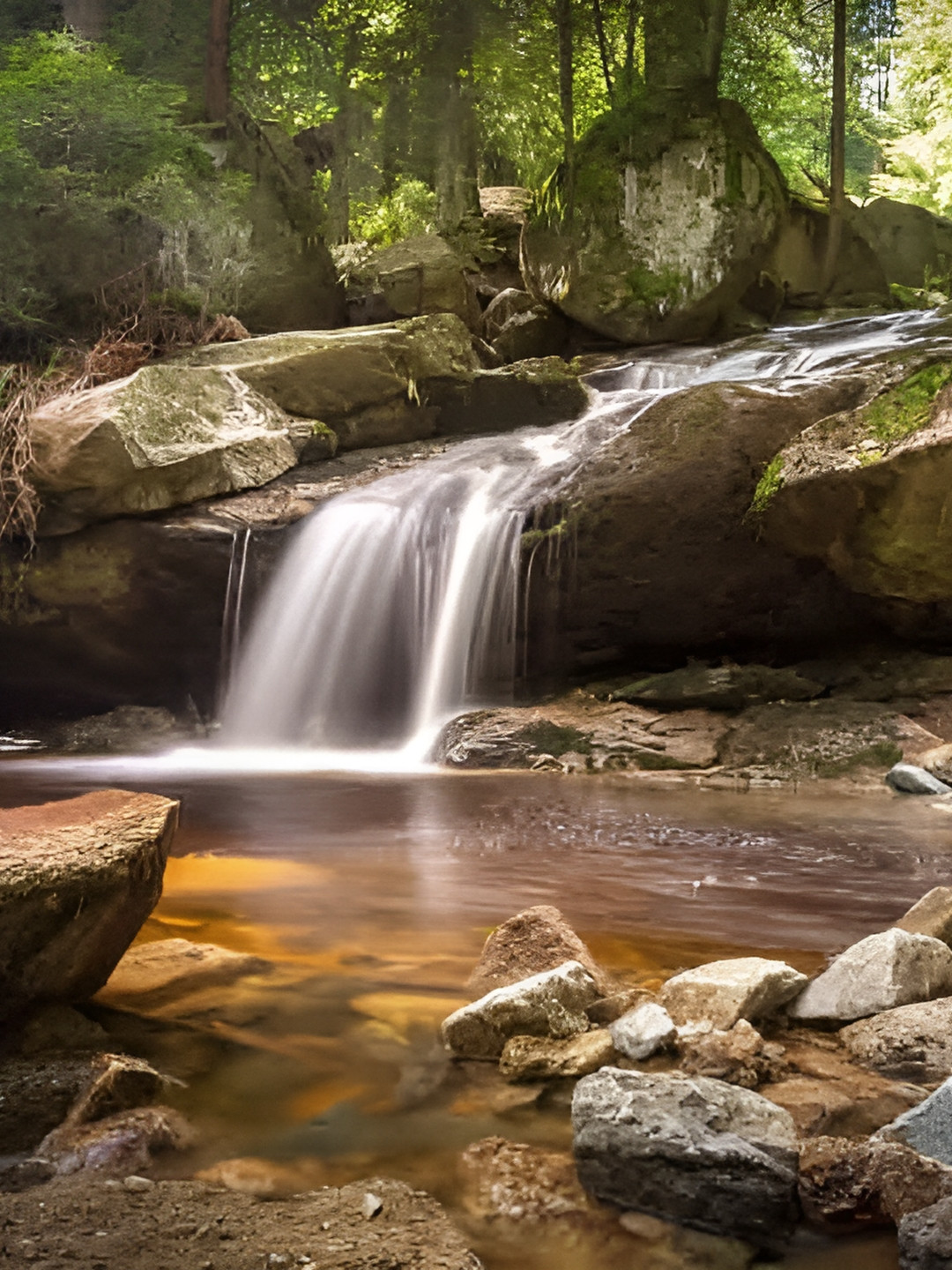 Wallpics Green & White Floral And Botanical Paper Wall Poster