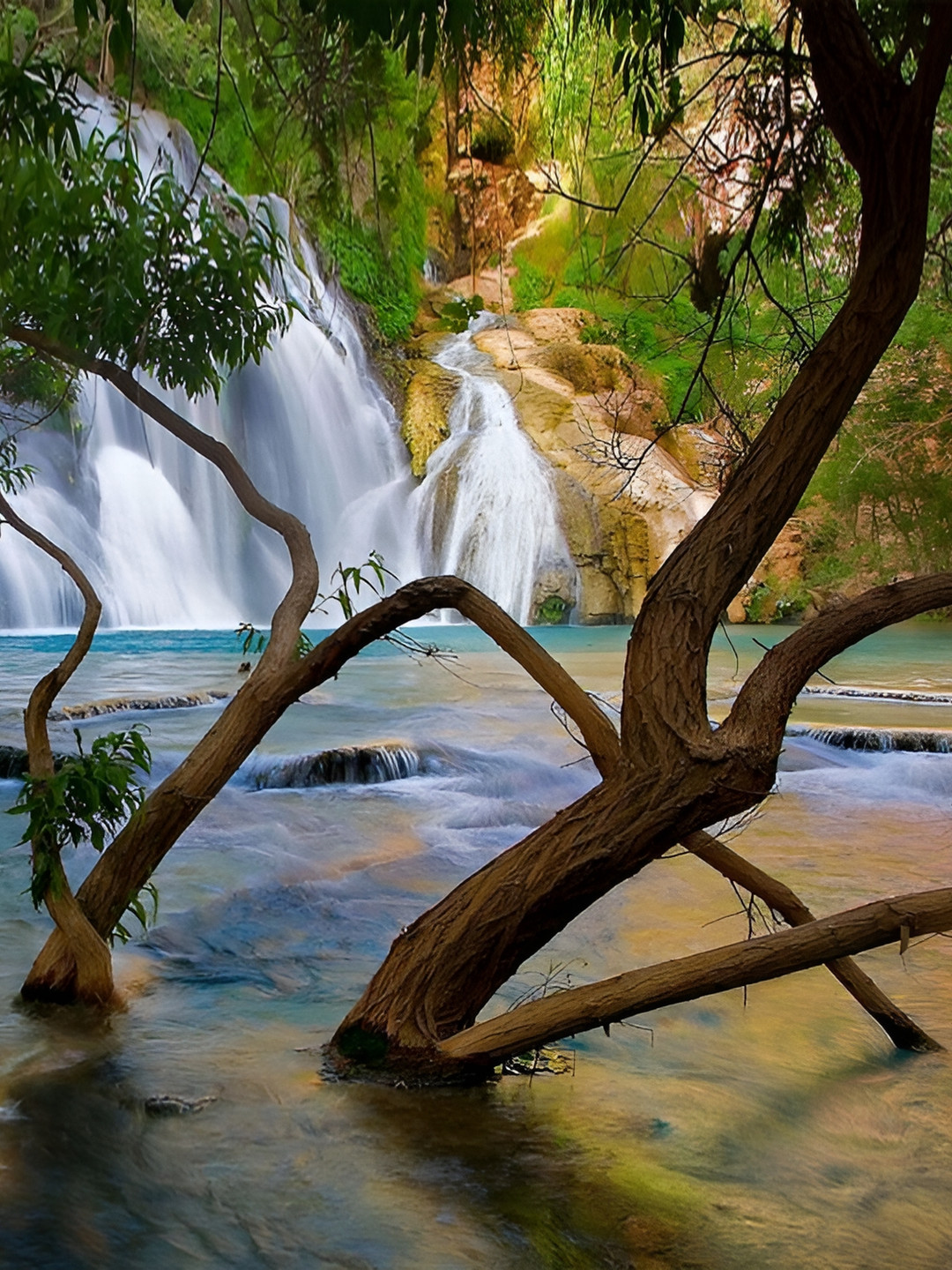 Wallpics Green & White Floral & Botanical Wall Poster