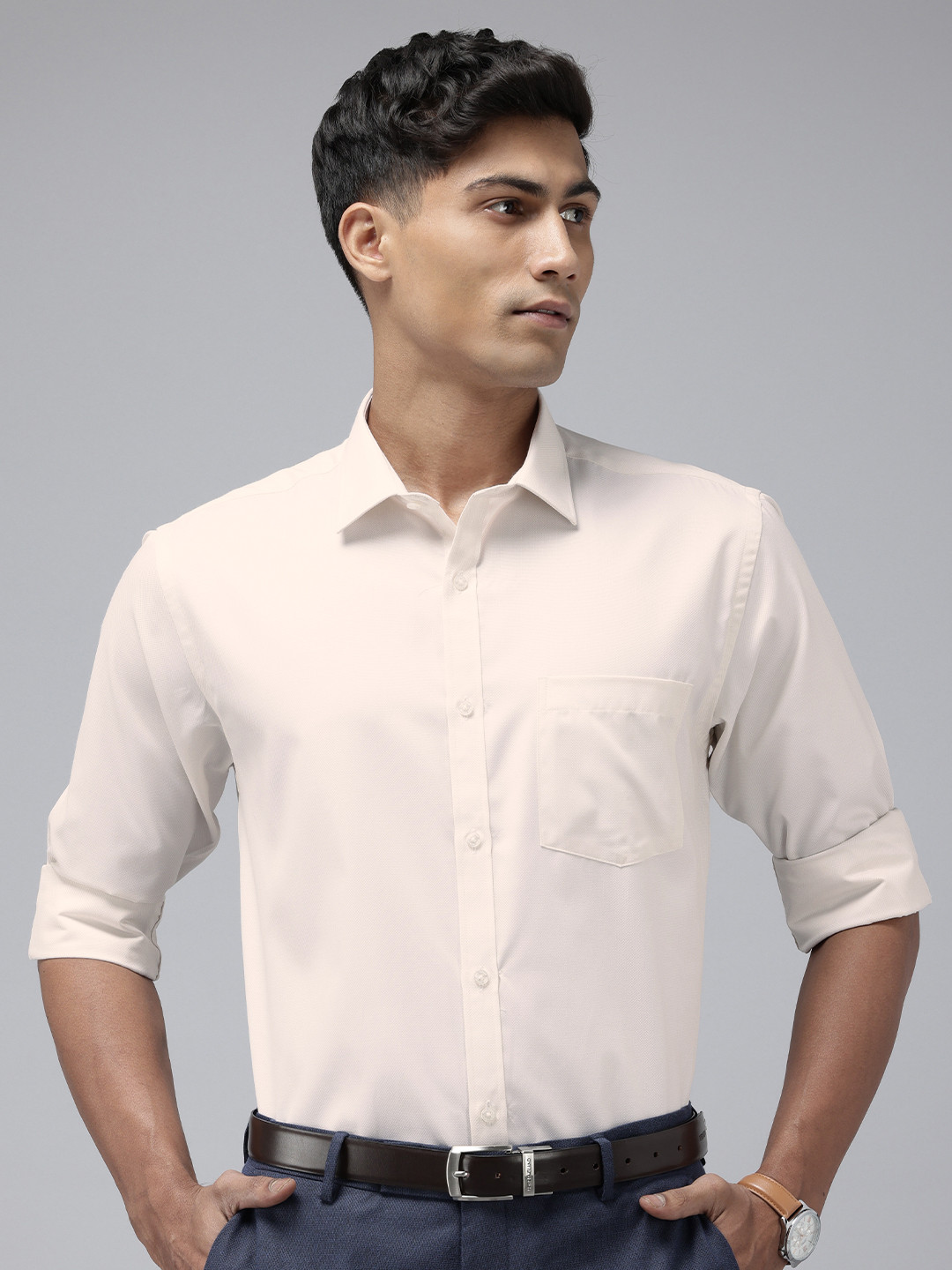 Park Avenue Self Design Slim Fit Textured Formal Shirt