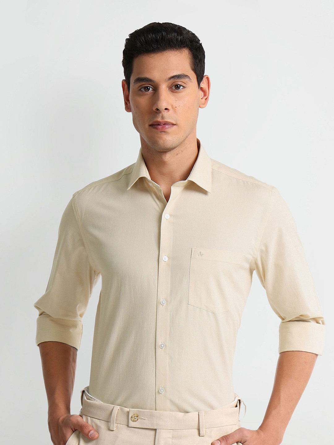 Arrow Slim Fit Dobby Patterned Formal Pure Cotton Shirt