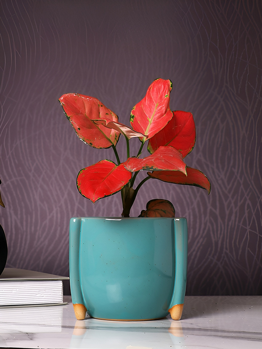 TAYHAA Teal-Green Ceramic Planter