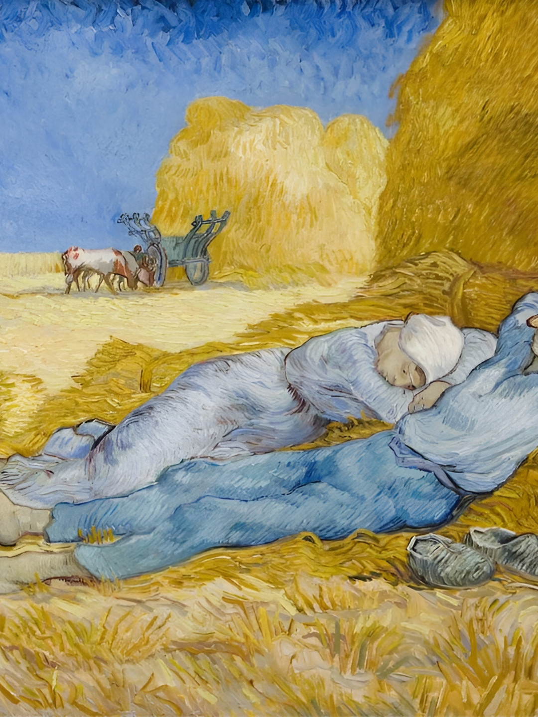 AdventuresIndia Canvas Wall Rectangle Photographs Wall Art -5.51 x 7.08In