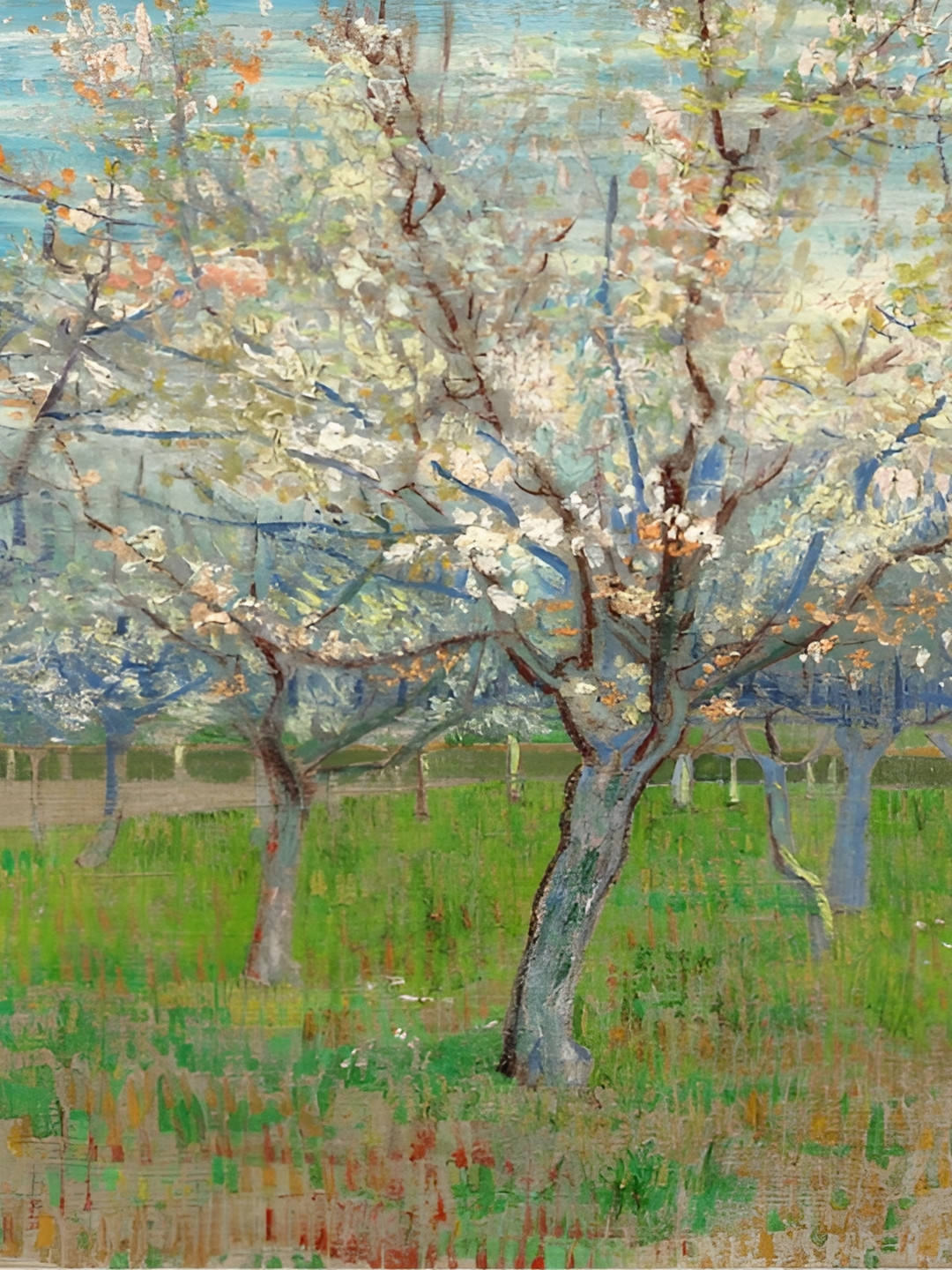 Adventures India Canvas Wall Rectangle Photographs Wall Art - 8.2 x 6.2 In