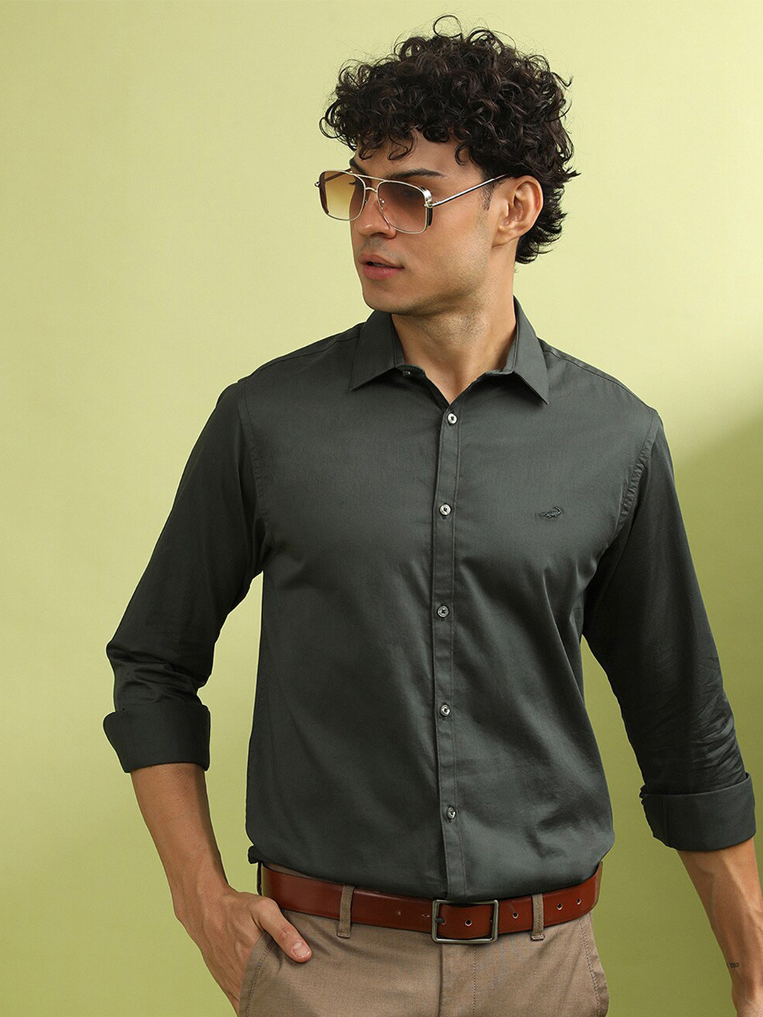 Crocodile Cotton Opaque Casual Shirt