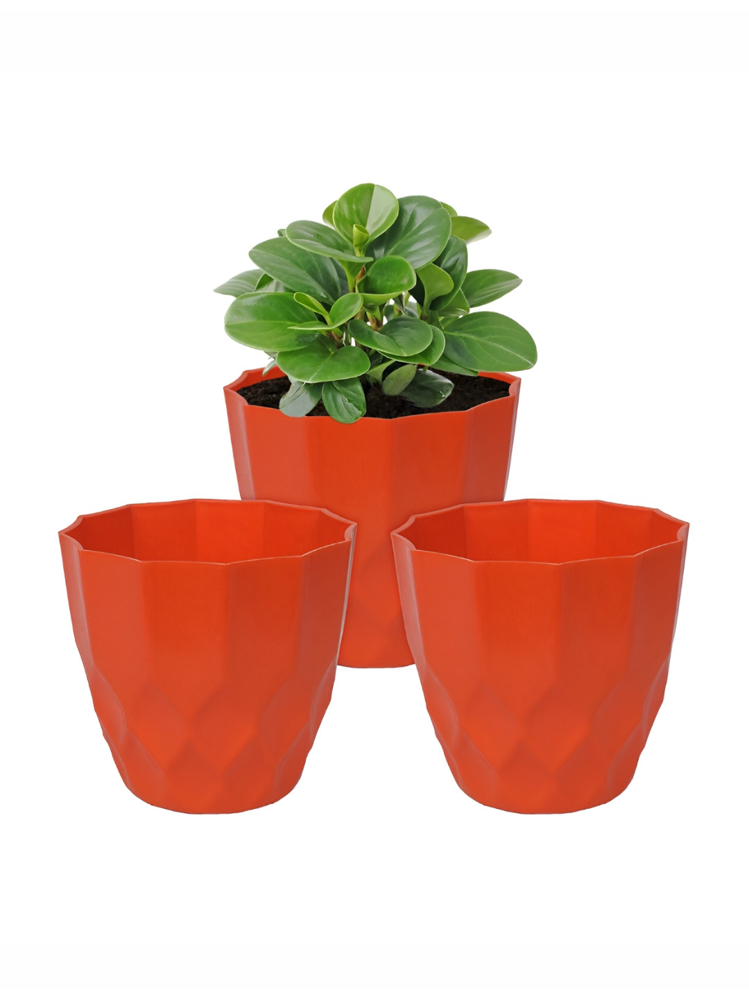 Kuber Industries Orange 3 Pieces Barfi Flower Planters