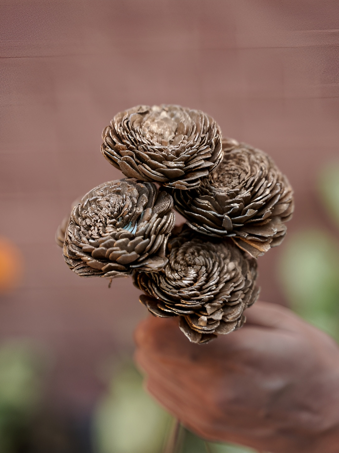 Artecasa Dried Set of 6 Golden Sola Flower