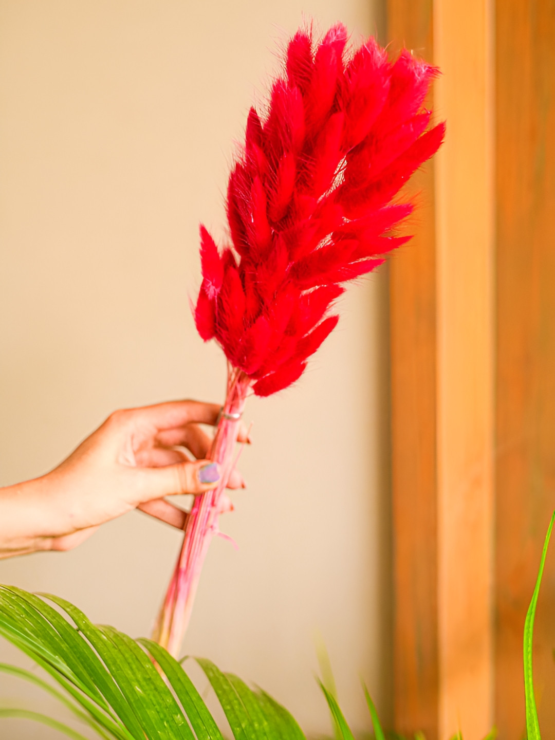 Artecasa Red Naturally Dried Bunny Tail Flower