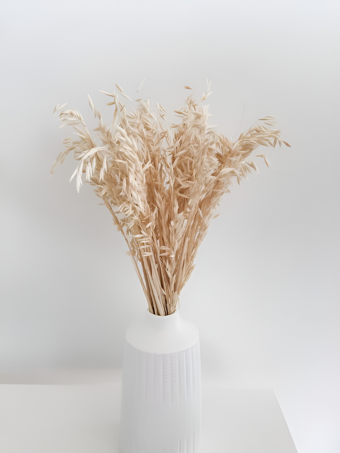 Artecasa White Naturally Dried Oats Grass