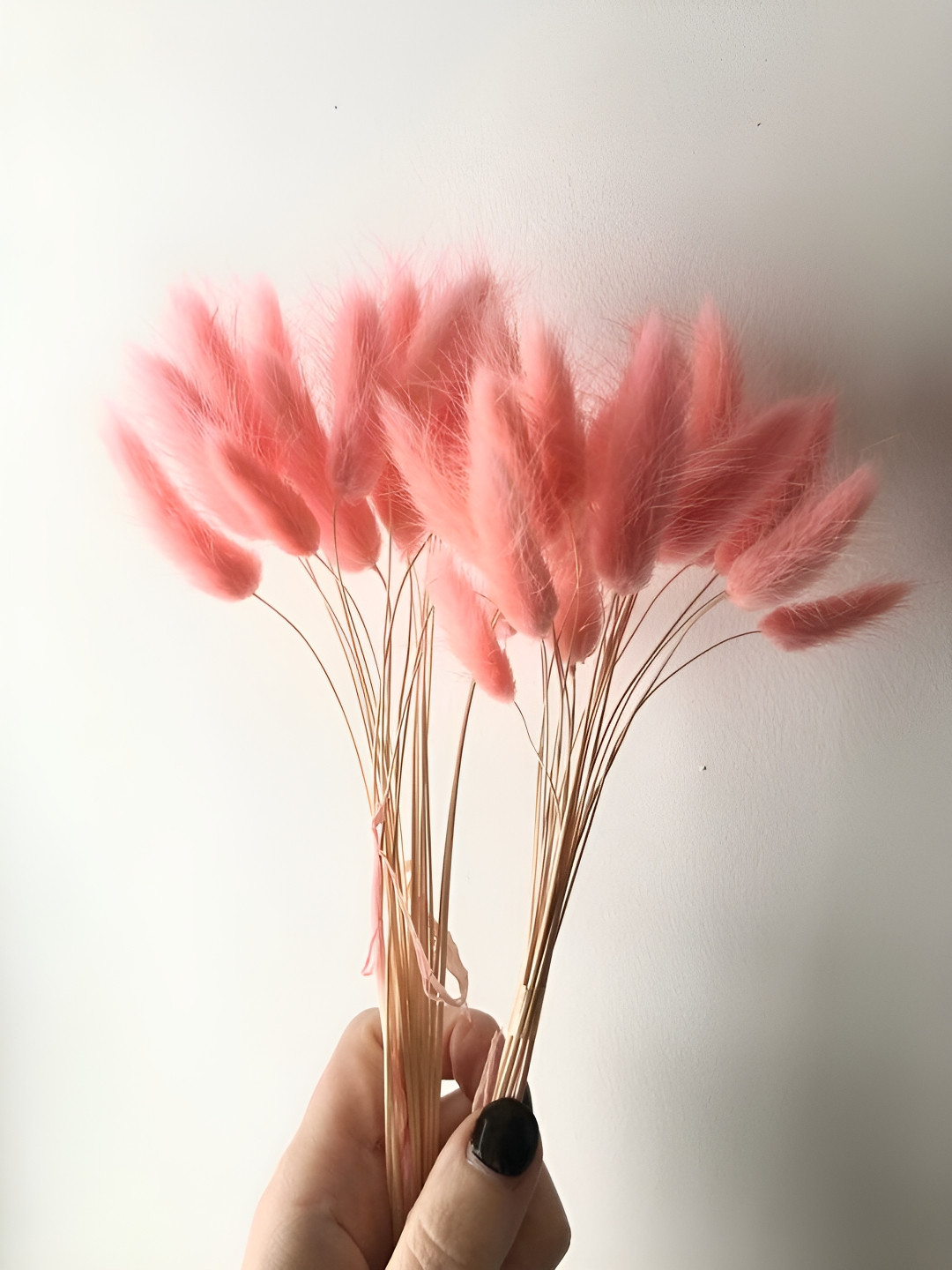 Artecasa Dried Flower Pink Bunny Tails