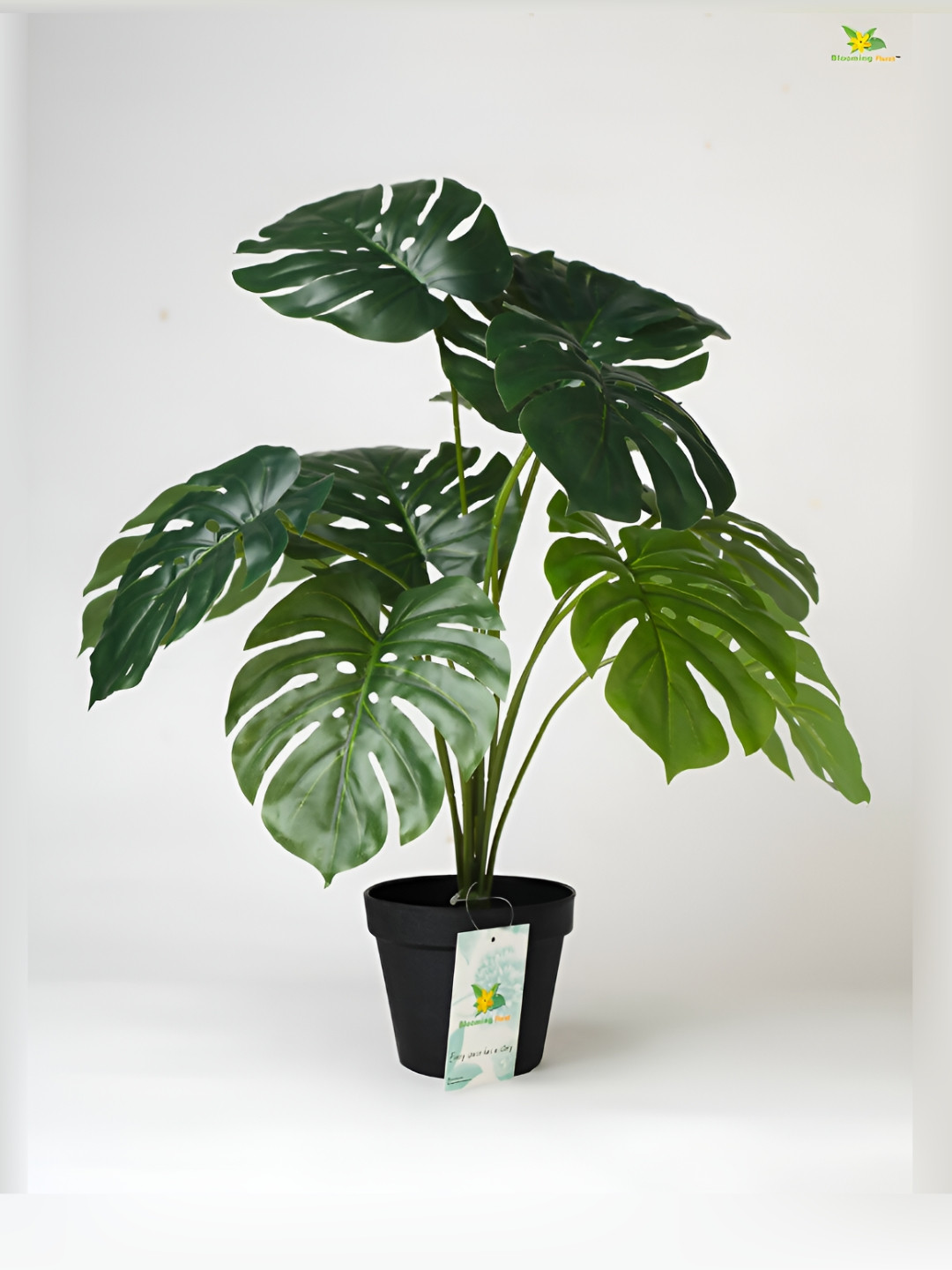 Blooming Floret Green Monstera Deliciosa Artificial Plant With Pot