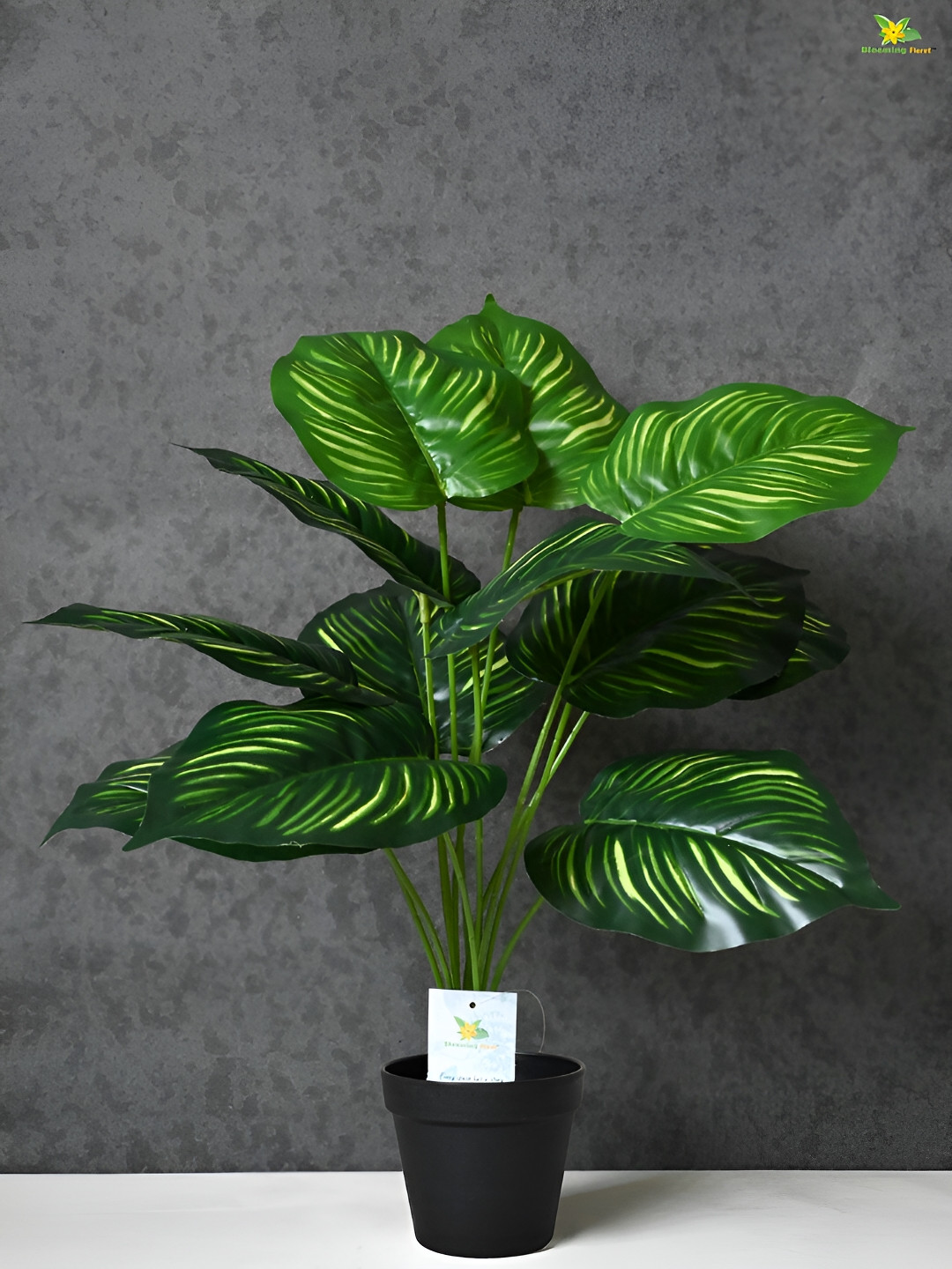 Blooming Floret Green Calathea Artificial Plant With Pot