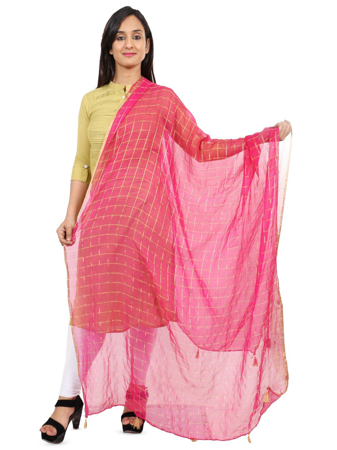 Alakh Creation Checked Zari Detailed Chiffon Dupatta
