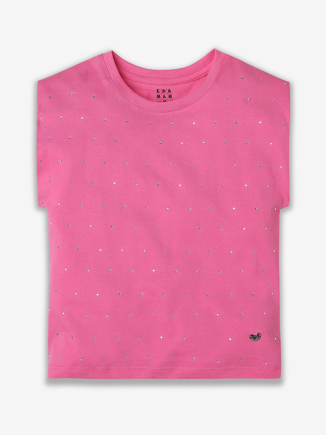 Ed-a-Mamma Sustainable Cotton Embroidered Conversational Round Neck Short Sleeves T-shirt