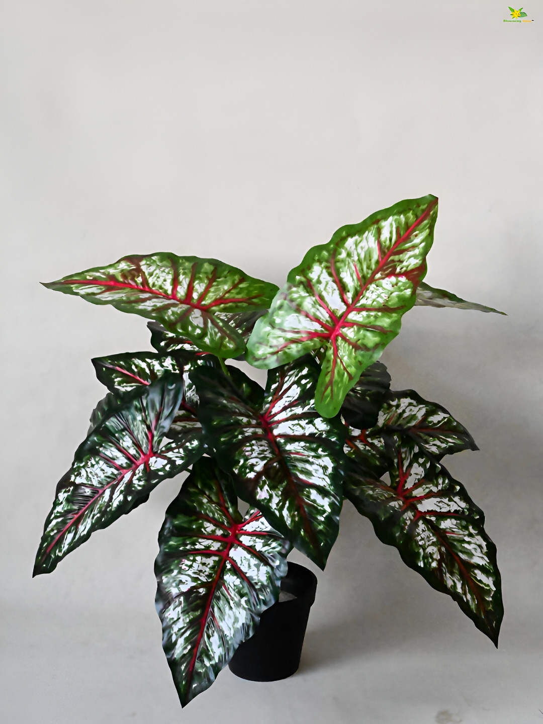 Blooming Floret Green Diffenbachia Artificial Plant With Pot