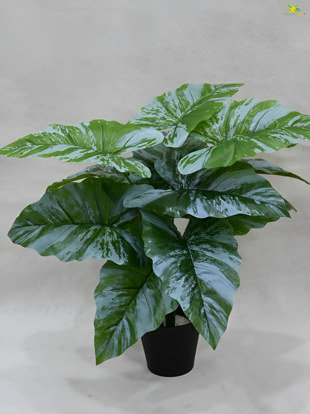 Blooming Floret Green Diffenbachia Artificial Plant With Pot