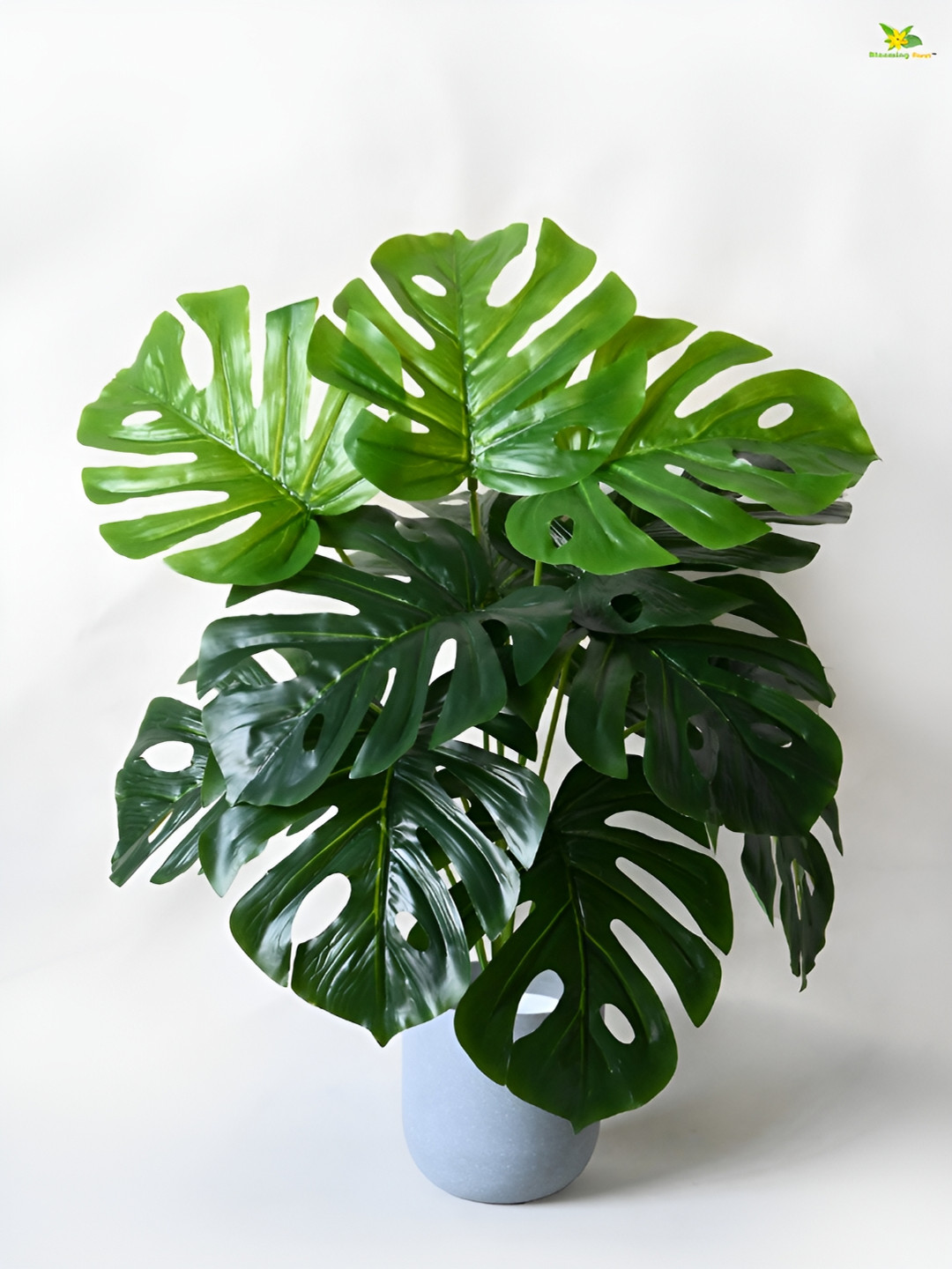 Blooming Floret Green Monstera Deliciosa Artificial Plant With Pot