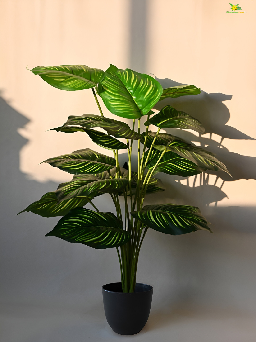 Blooming Floret Green Calathea Artificial Plant With Pot