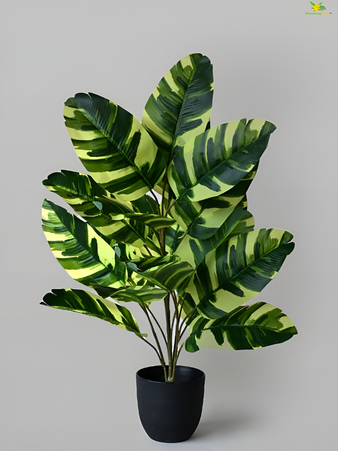 Blooming Floret Green Calathea Artificial Plant With Pot