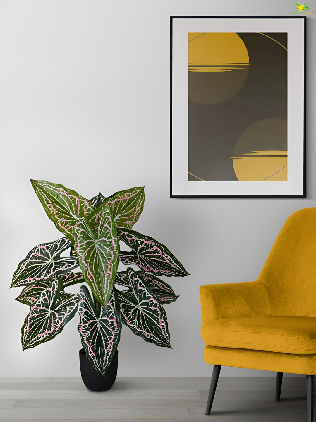 Blooming Floret Green & Pink Caladium Artificial Plant With Pot