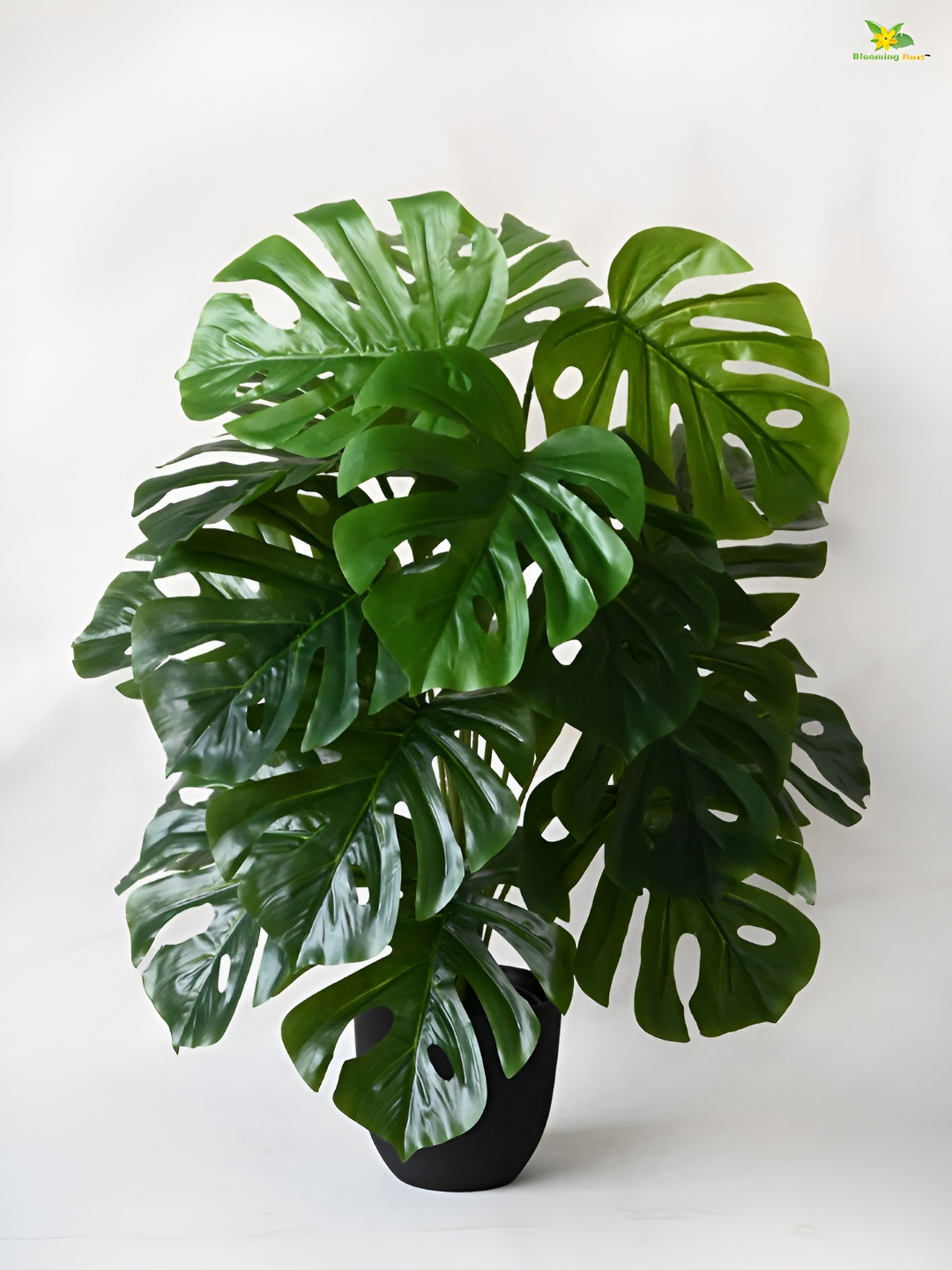 Blooming Floret Green & White Monstera Deliciosa Artificial Plant With Pot