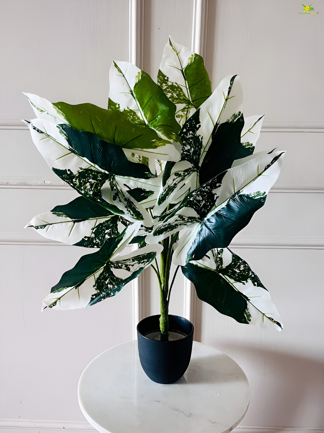 Blooming Floret Green & White Caladium Artificial Plant With Pot