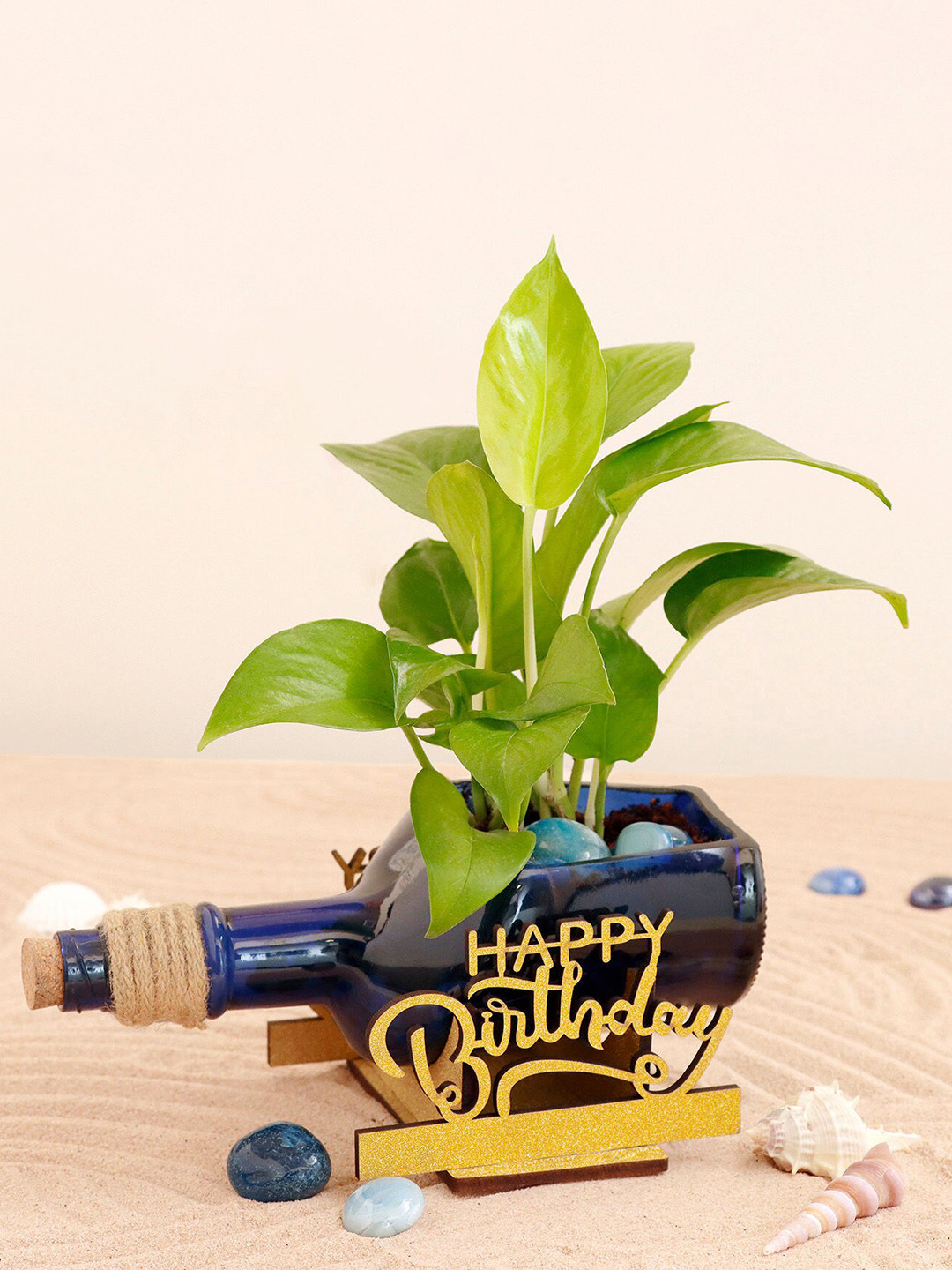 fnp Green & Blue Happy Birthday Money Plant Antiquity Bottle