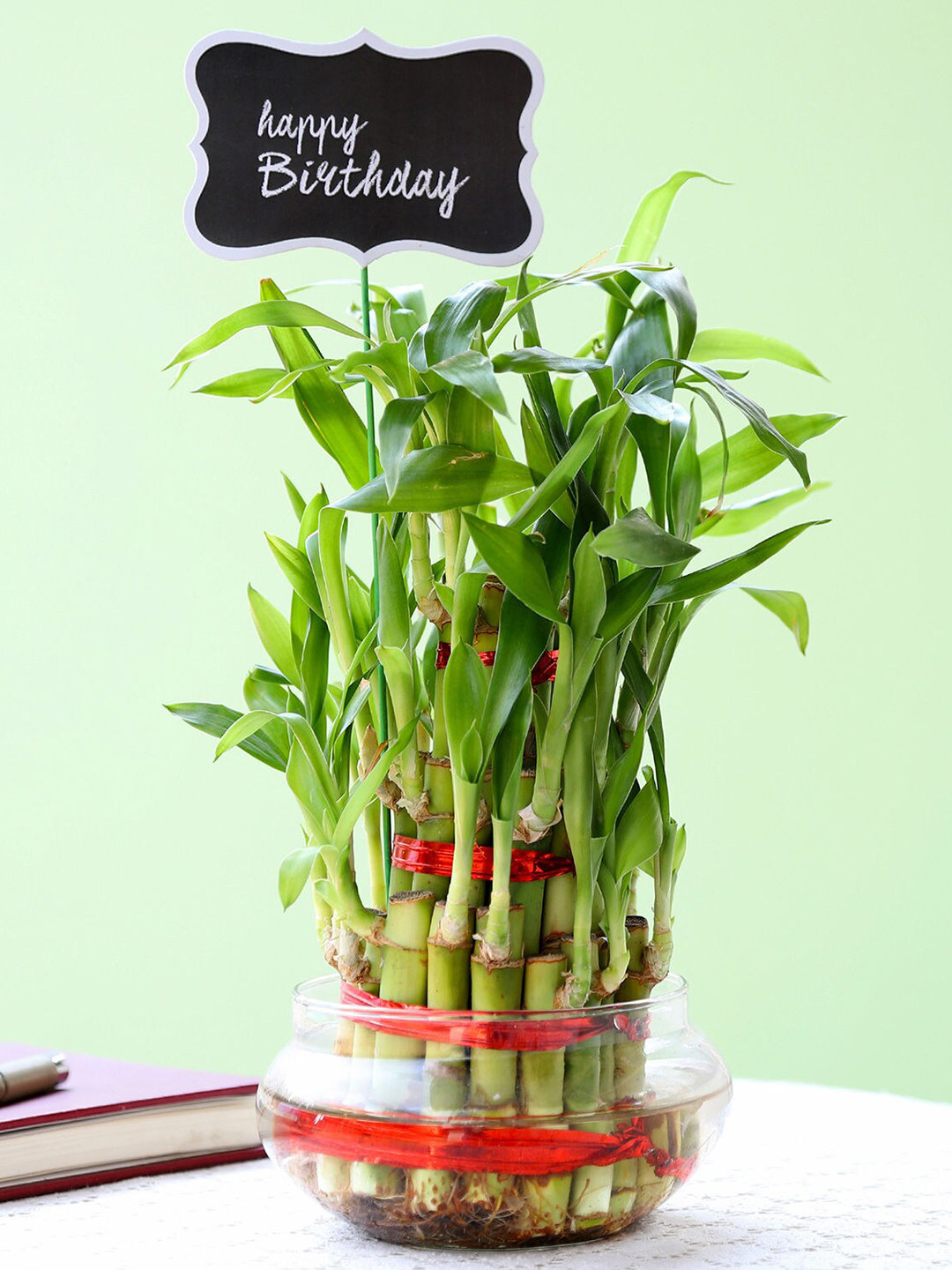 fnp Indoor Three Layer Bamboo Plant With Glass Bowl