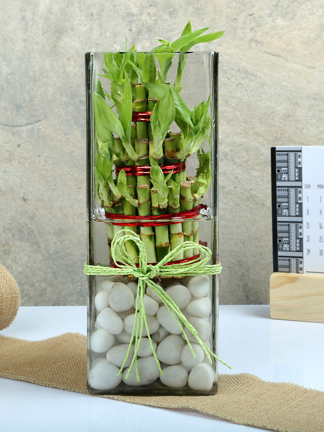 fnp Green Exquisite Three Layer Bamboo Terrarium