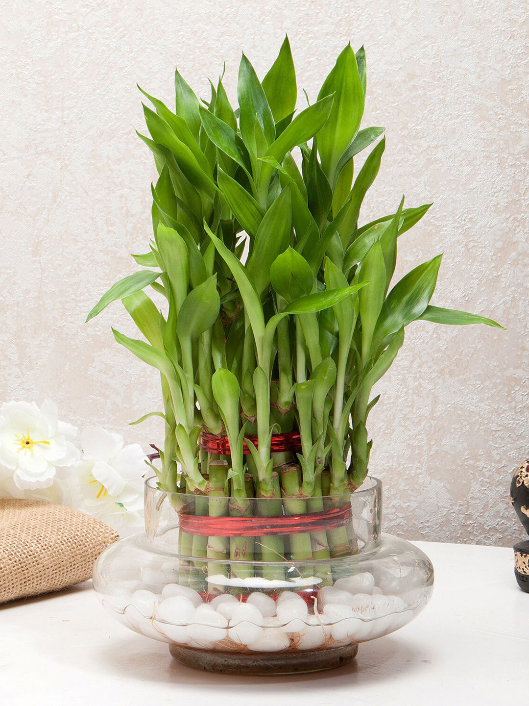fnp Green Three Layer Bamboo Good Luck Terrarium