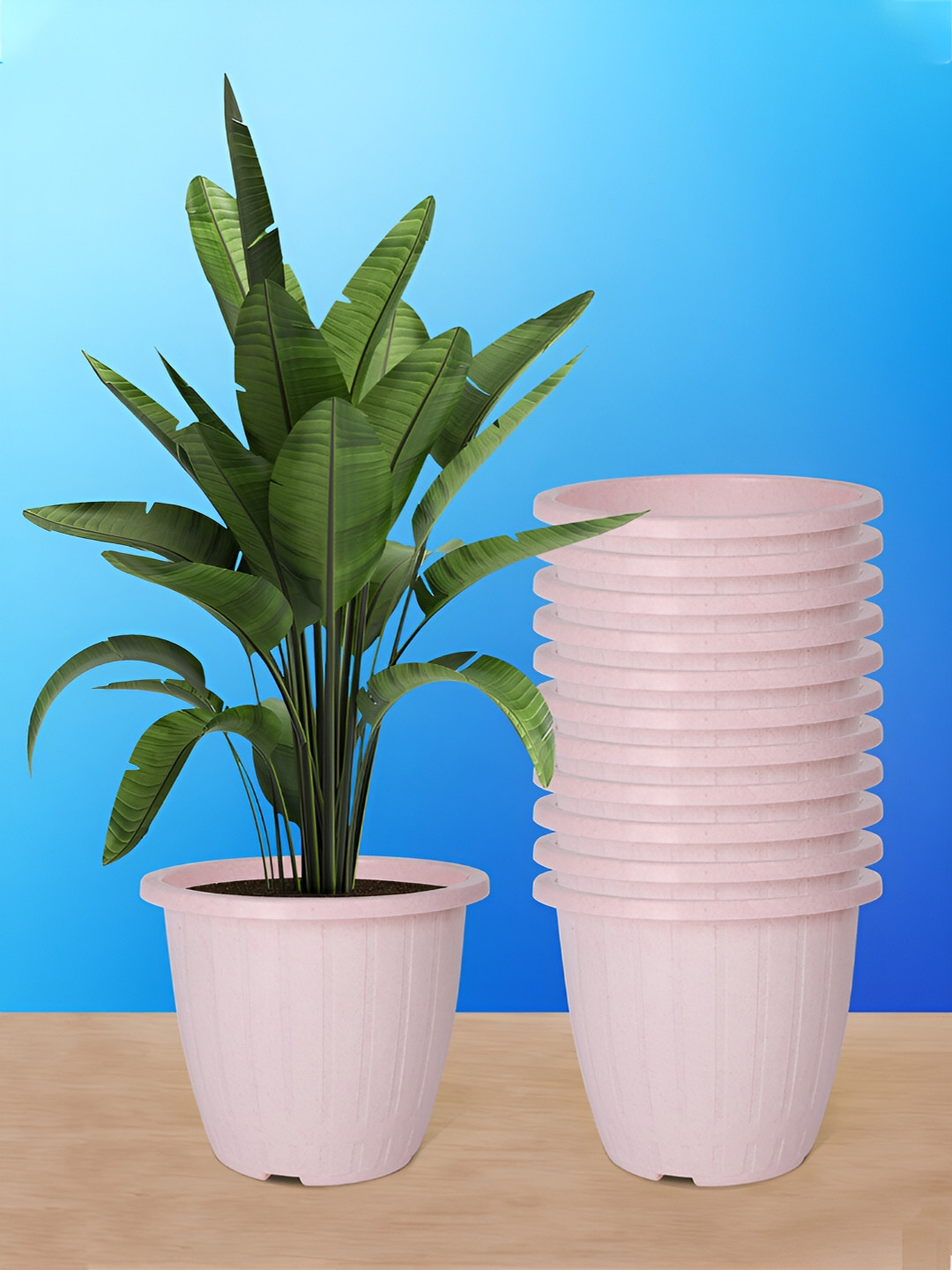 Kuber Industries Pink 12 Pieces Marble Duro Planters