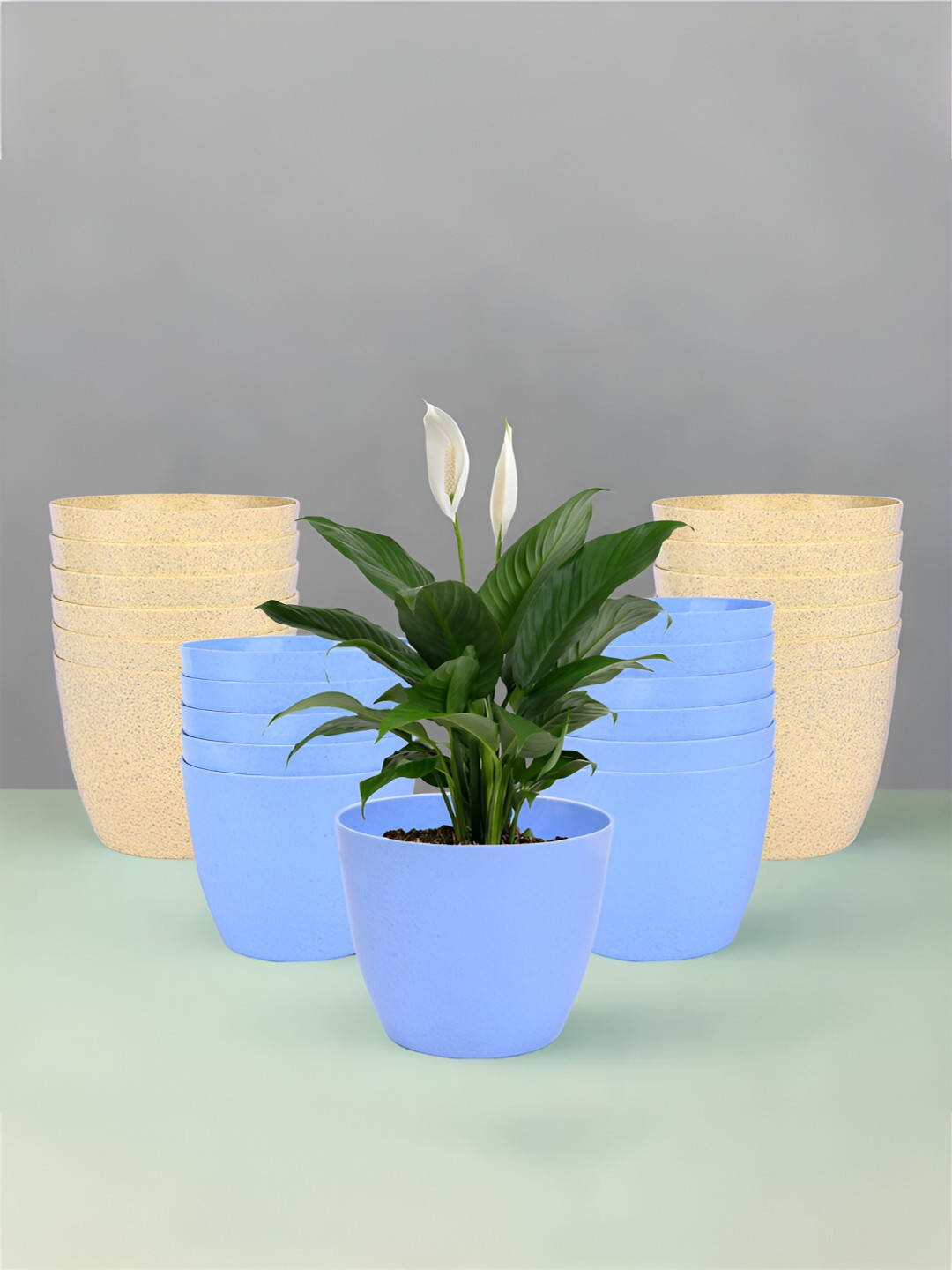 Kuber Industries Blue & Beige 24 Pieces Lightweight Planters